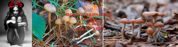 мет Абдулино