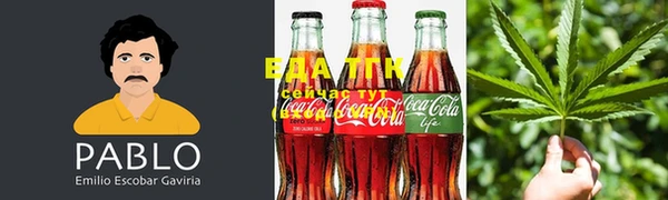 индика Алексеевка
