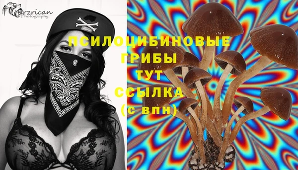каннабис Абинск