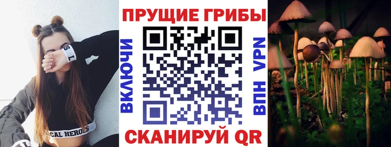 закладки  darknet формула  Псилоцибиновые грибы прущие грибы  Новосибирск 